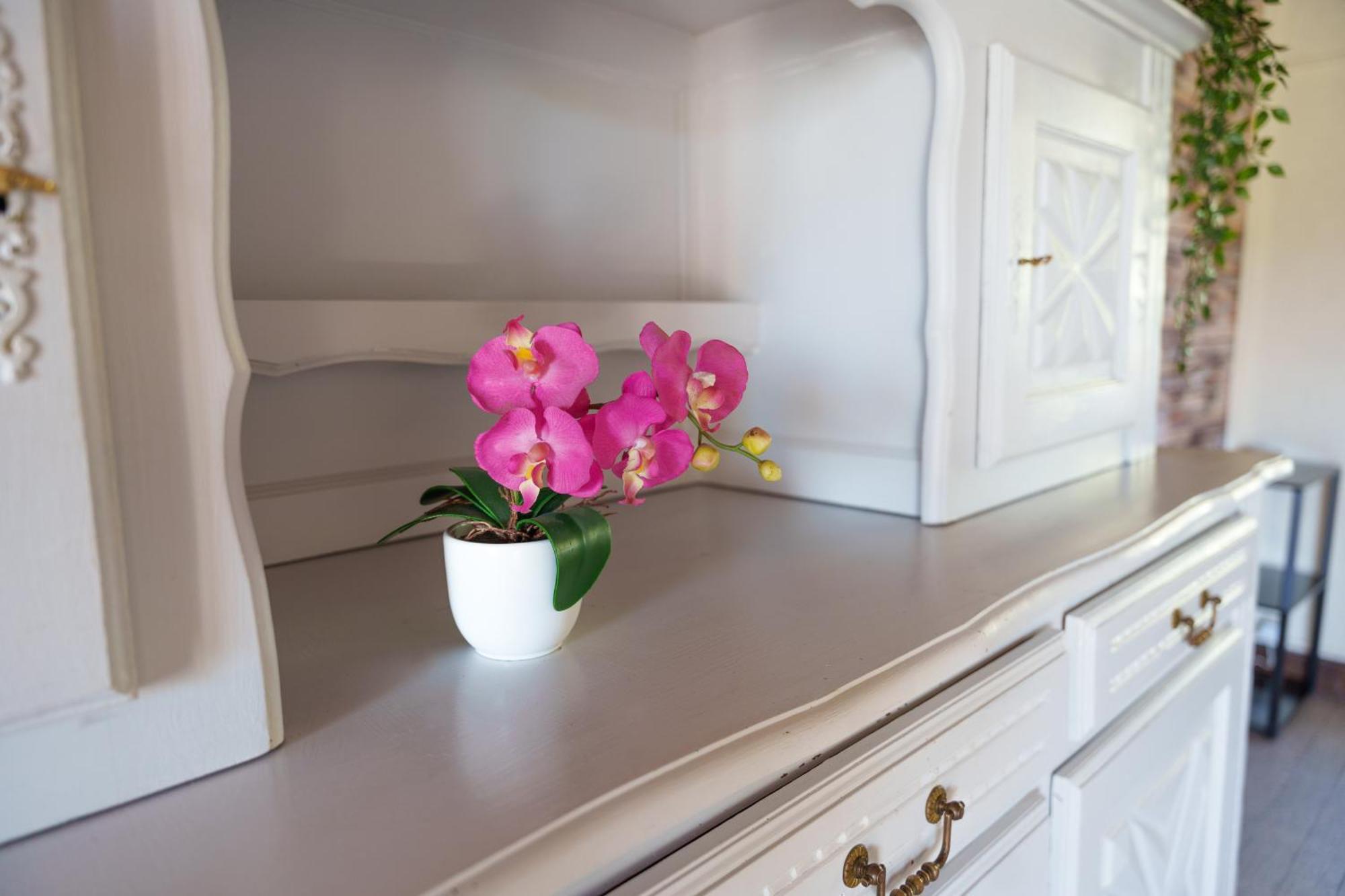 Gite Du Manoir Saint-Germain-des-Champs Екстер'єр фото