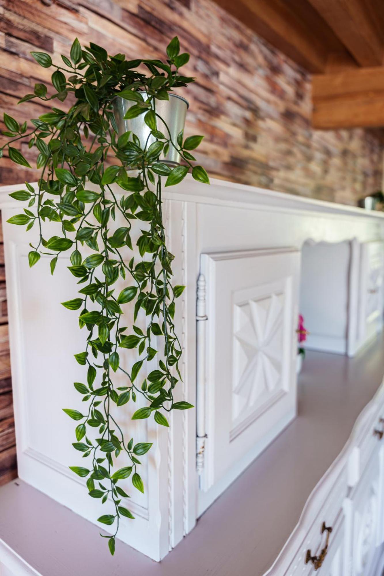 Gite Du Manoir Saint-Germain-des-Champs Екстер'єр фото